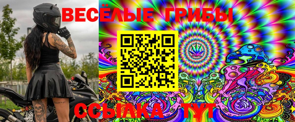 Псилоцибиновые грибы Cubensis Ковров